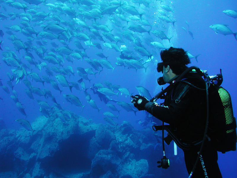 Buceo en Madeira